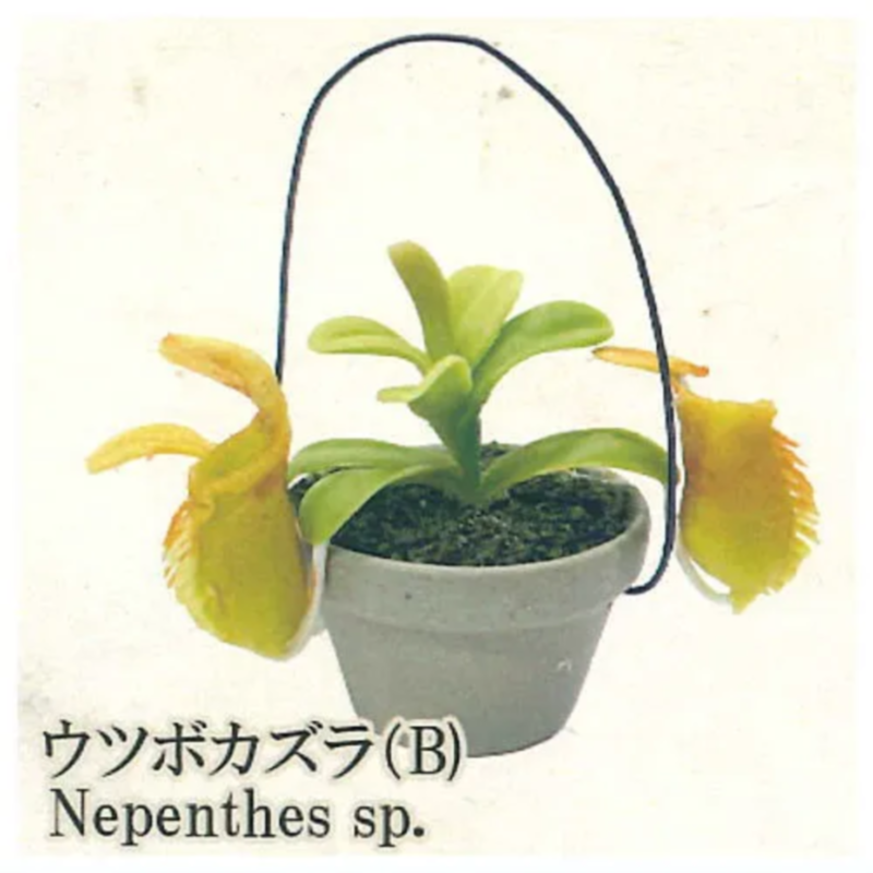 Japan Rainbow Gashapon Capsule - Capsule Toy Gashapon recensie en prijs