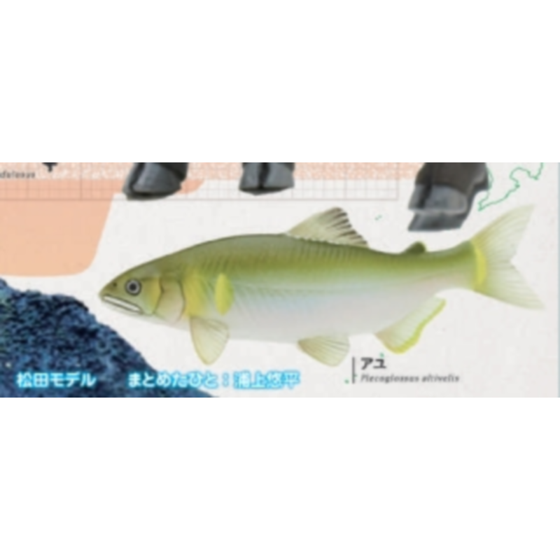 Japan Ikimon Gashapon Capsule  - Capsule Toy Gashapon recensie en prijs